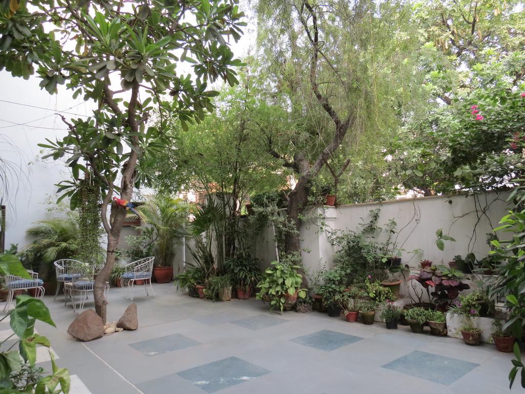 Trendy Bed & Breakfast Yeni Delhi Dış mekan fotoğraf